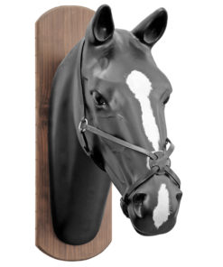 EQUESTRO Capezzina Modello "ELITE8 NOSEBAND"